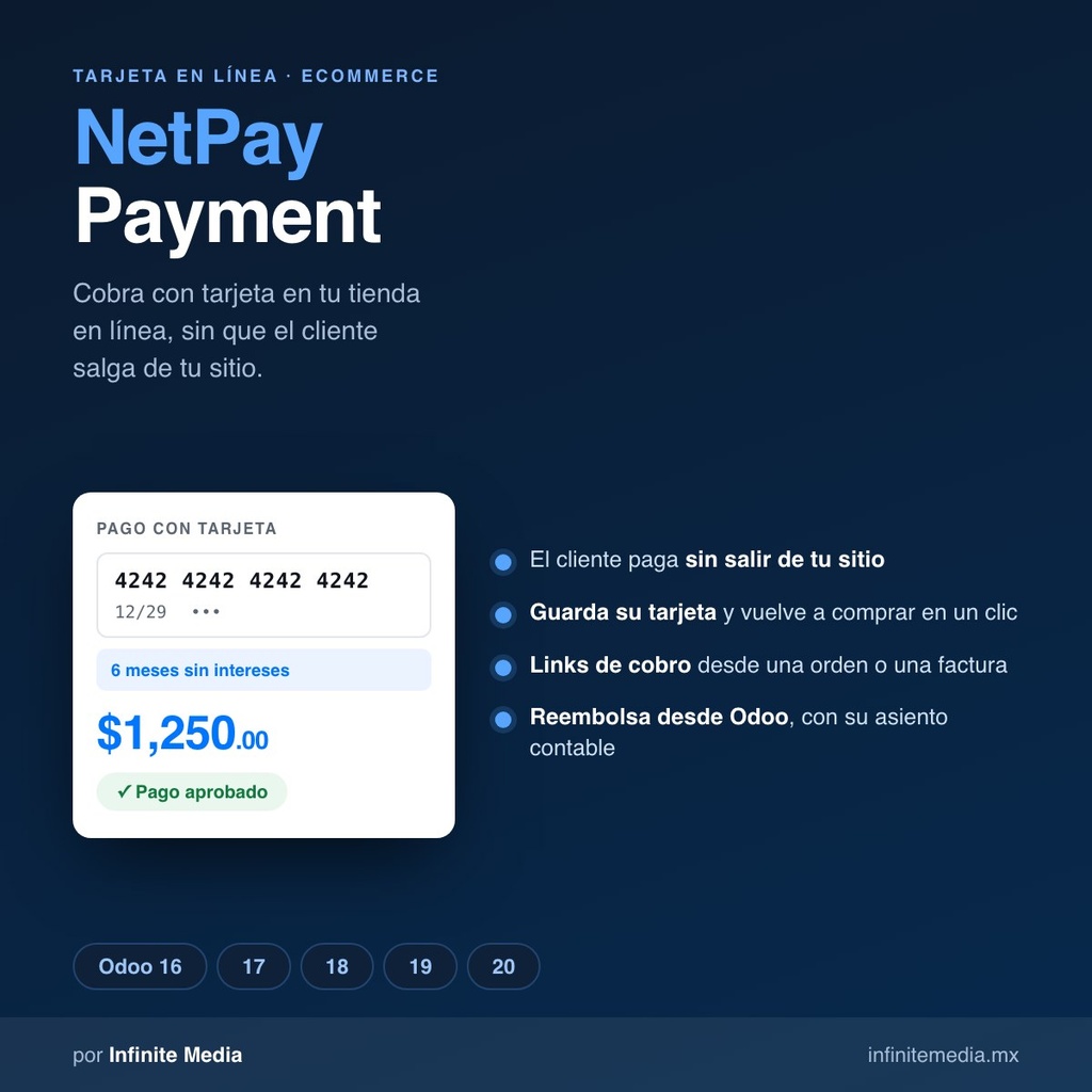 NetPay Payment