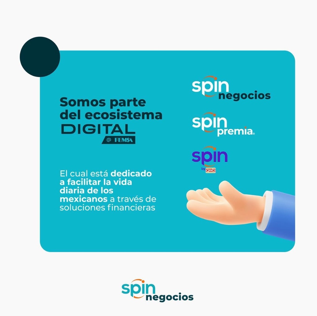 NetPay Payment