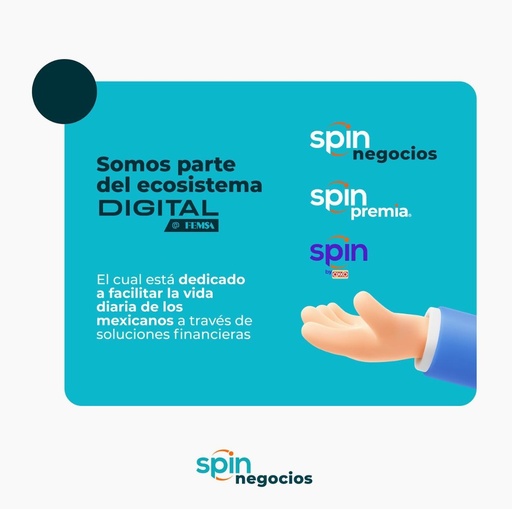 NetPay Payment